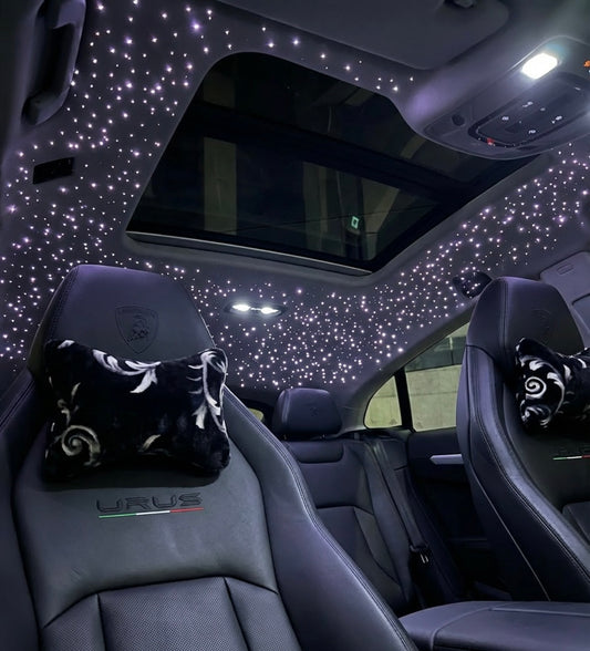 Black/White Floral Car Pillow