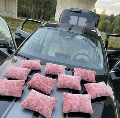 Light Pink Monochrome Car Pillows